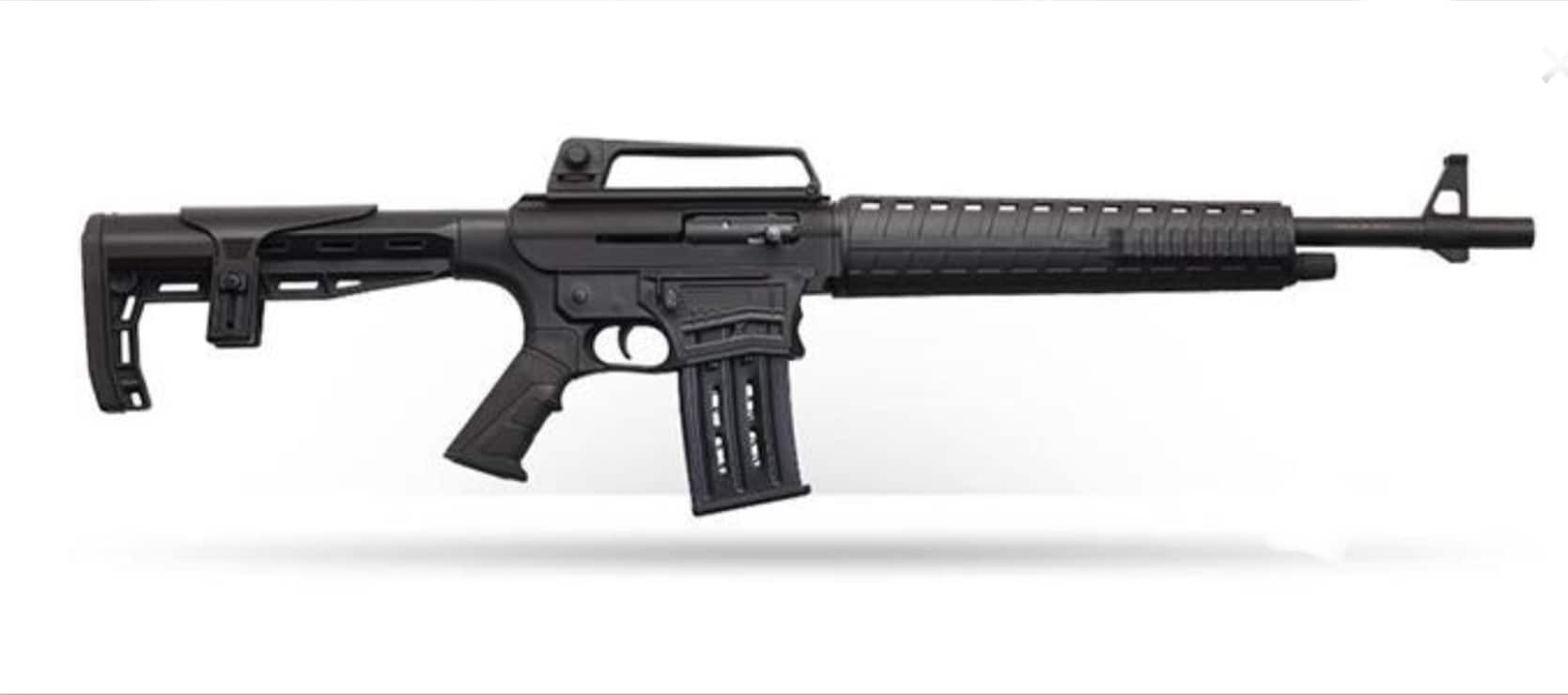 CHARLES DALY AR-12S