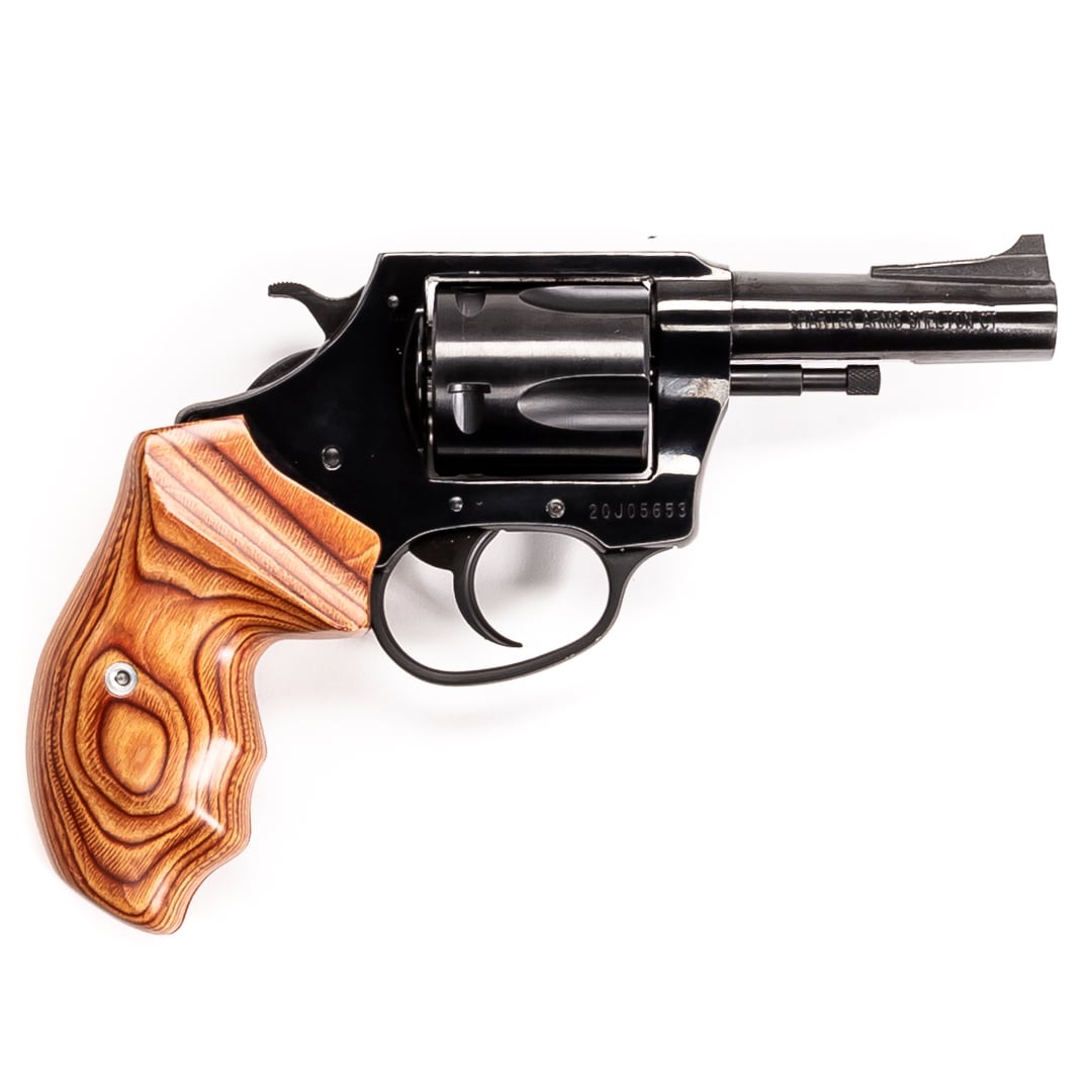 CHARTER ARMS BULLDOG — image 3