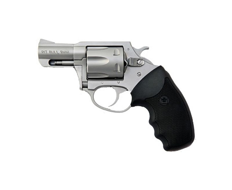 Charter Arms Pitbull 9mm, 2" Barrel, Stainless, 5rd Charter Arms