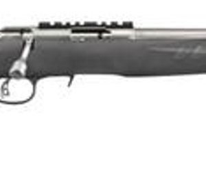 Ruger American Rimfire