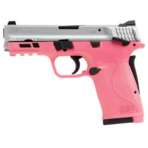 Smith & Wesson M&P Shield EZ .380 ACP